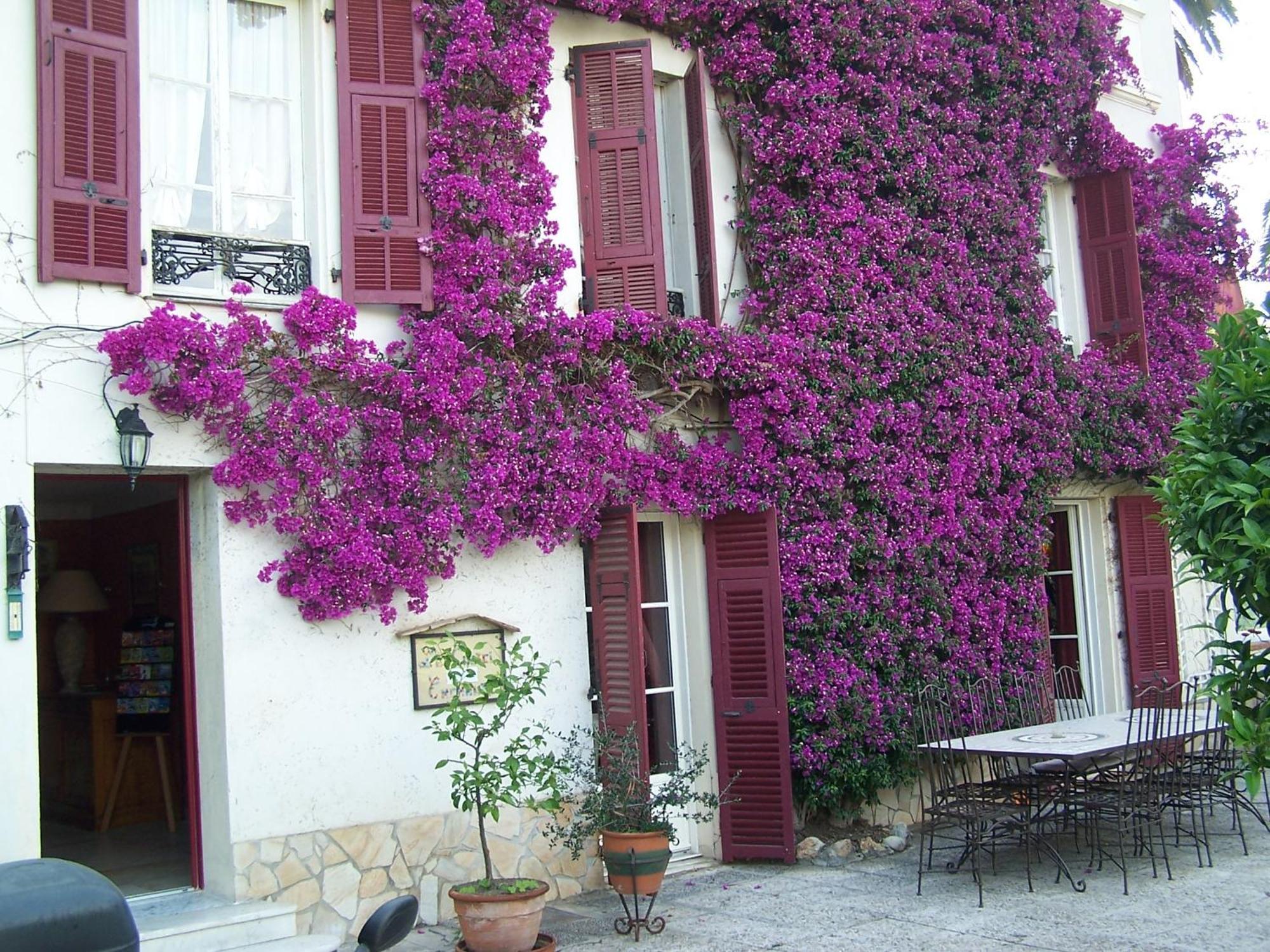 Castel Enchante Nice Exterior foto